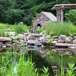 Bowman's Hill Wildflower Preserve