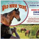 Corolla Wild Horse Tours