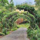 Red Butte Garden and Arboretum