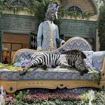 Bellagio Conservatory & Botanical Gardens