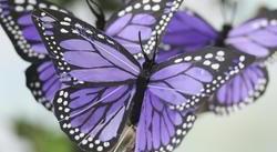 Footer image
