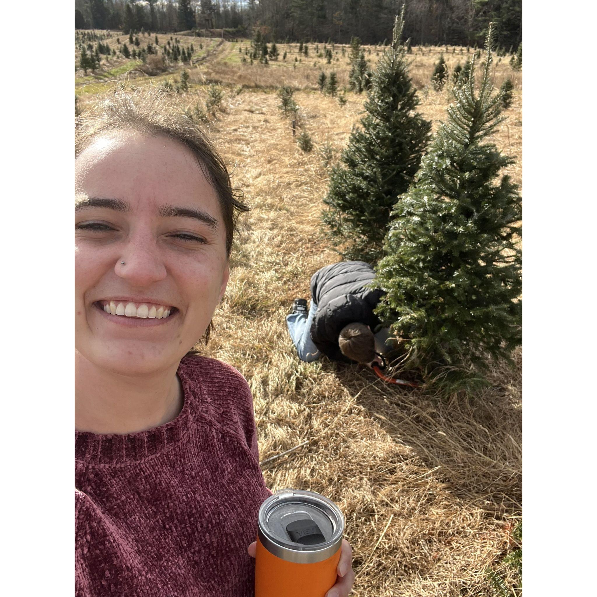 Keelin's favorite new tradition - Spencer cutting down the Christmas tree while she watches!