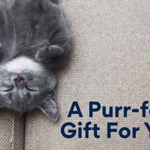 CHEWY eGift Card, Chewy Pet Lovers, $50 - Chewy.com