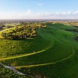 Celery Fields
