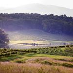 Biltmore Estate Winery