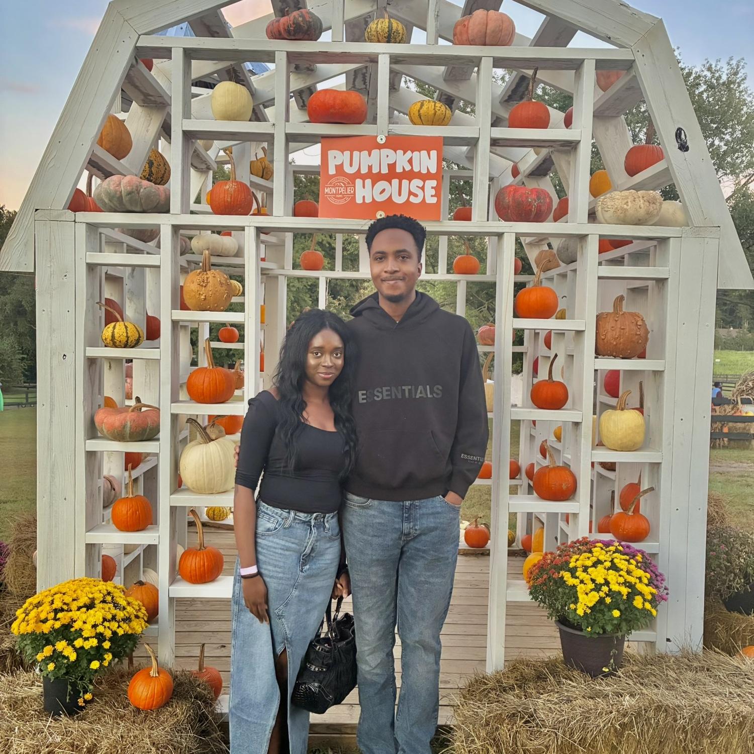 Pumpkin Patch
