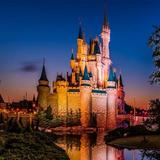 Walt Disney World® Resort