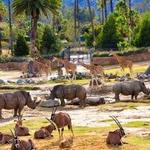 San Diego Zoo Safari Park