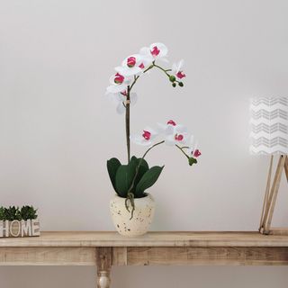 Artificial Orchid in Faux Aged Cement Pot