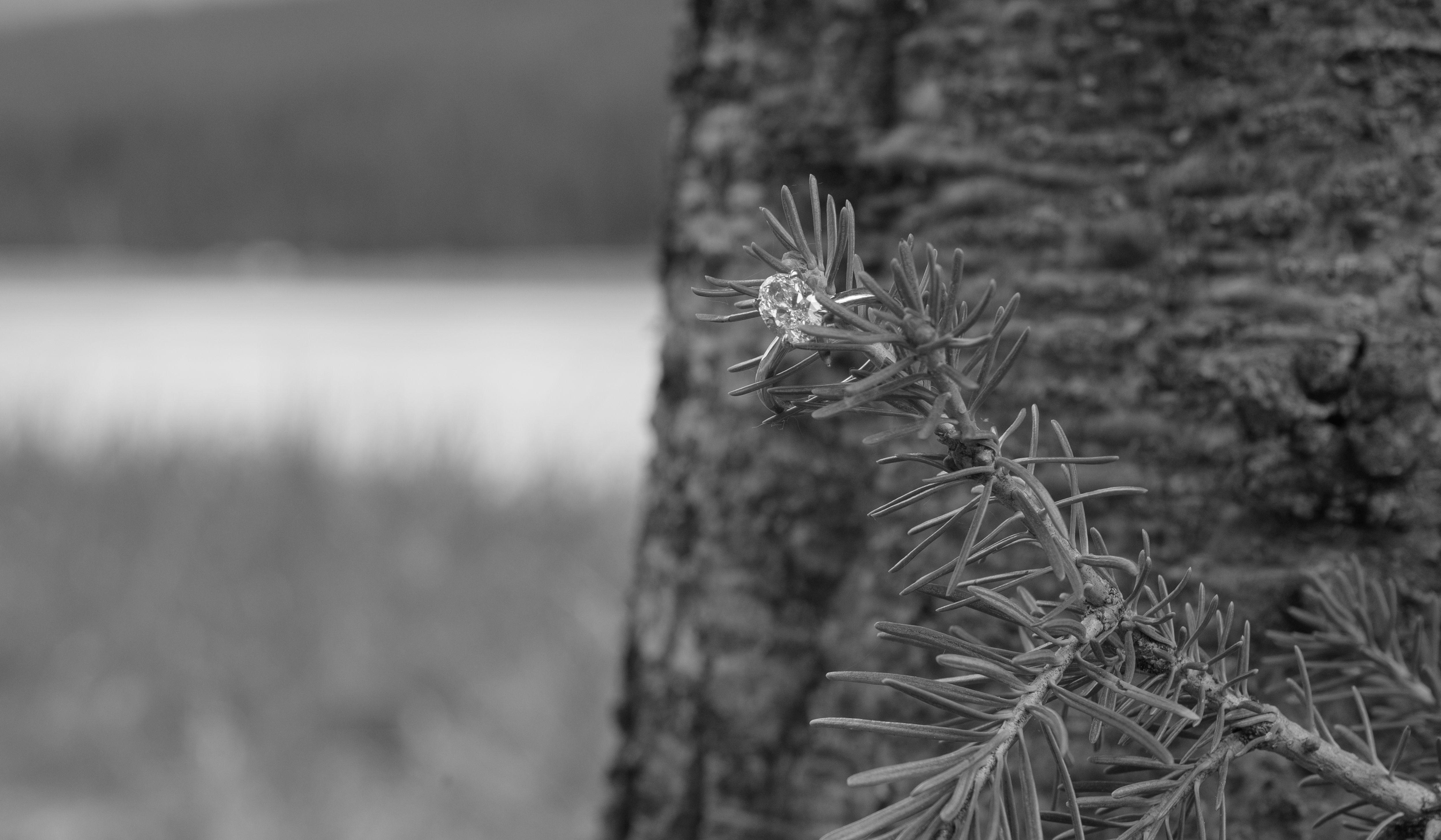 Footer image