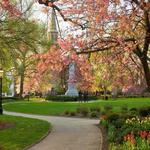 Morristown