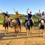 Wine Country Trails by Horseback