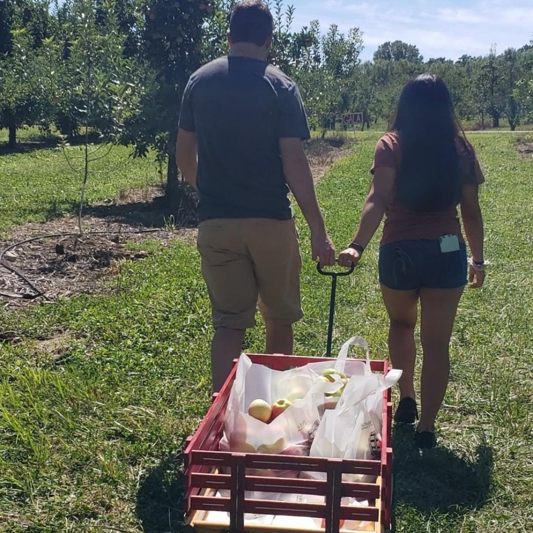 2018 Family Apple Picking