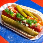 Famous Chicago Dog