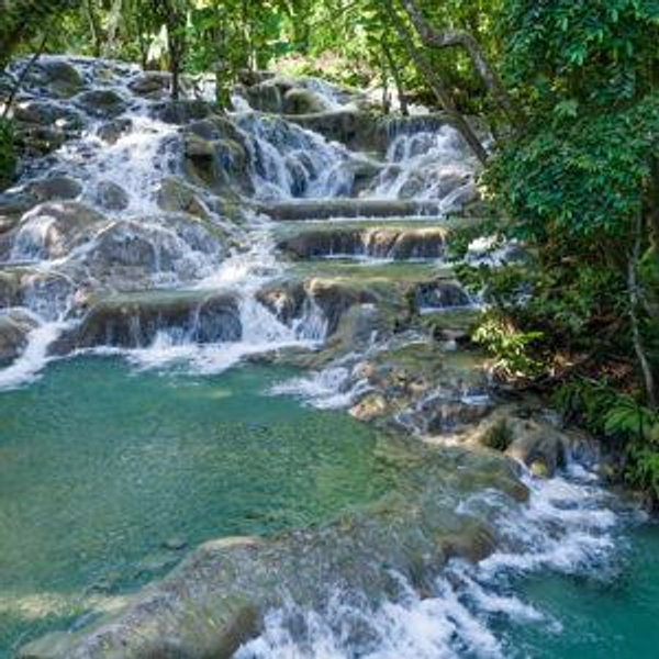 Dunn's River Falls Excursion