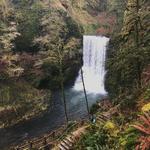 Silver Falls State Park