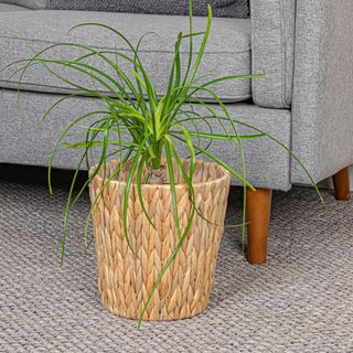 Handwoven Water Hyacinth Waste Basket