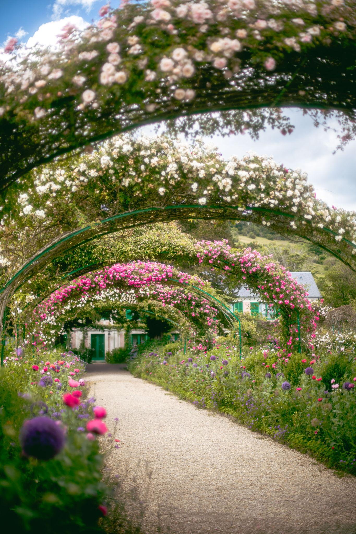 The Wedding Website of James Brasier and Hannah Rice