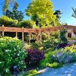Bellevue Botanical Garden
