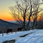 Walking and Sunrise/Sunset Viewing at Myrck Forest Farmland Preserve