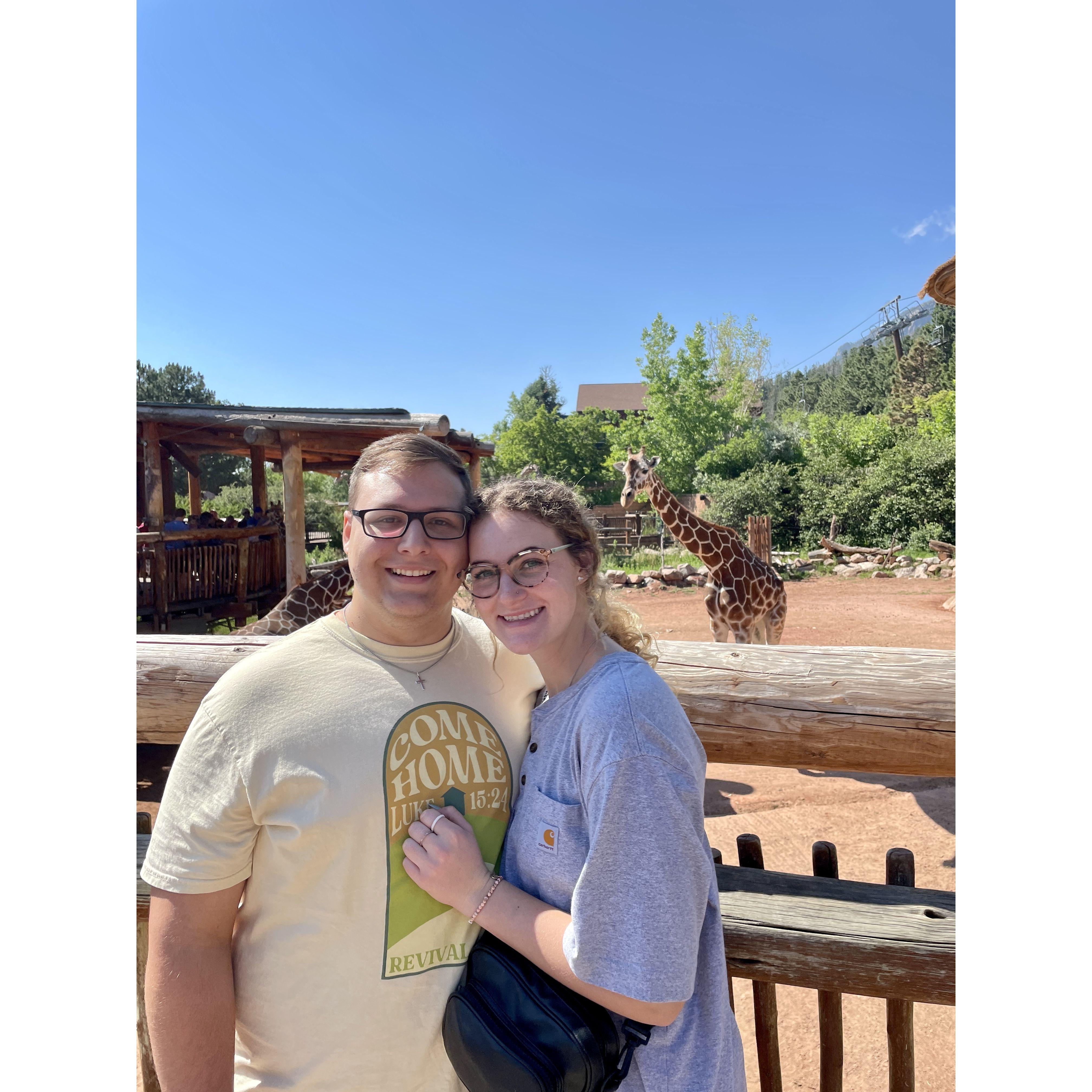 Cheyenne Mountain Zoo 🦁🦒🦓