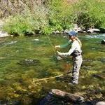 Fly Fish the American River
