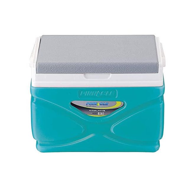 Picnic Cooler – 4.5 Liter Hard Cooler – Coolbox Keeps Contents Cool for 48 Hours – BPA Free Outdoor Cooler – Portable Cooler for Picnics, Grill, Camping