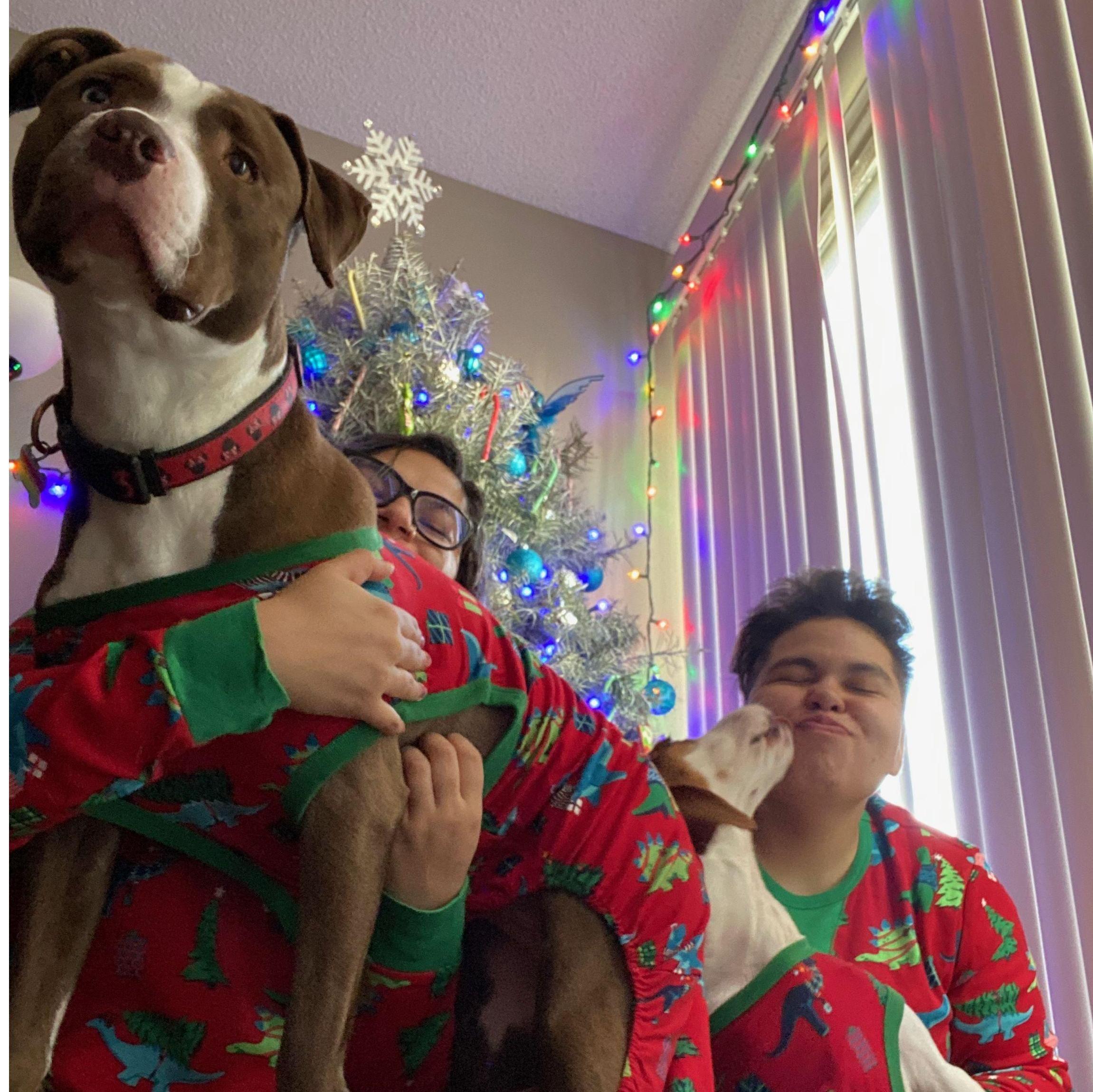 Christmas with the Pups!!