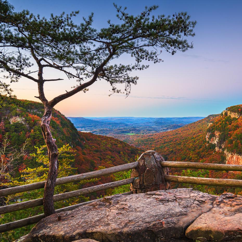Hiking views @ Cloudland Canyon Park