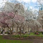 Rittenhouse Square