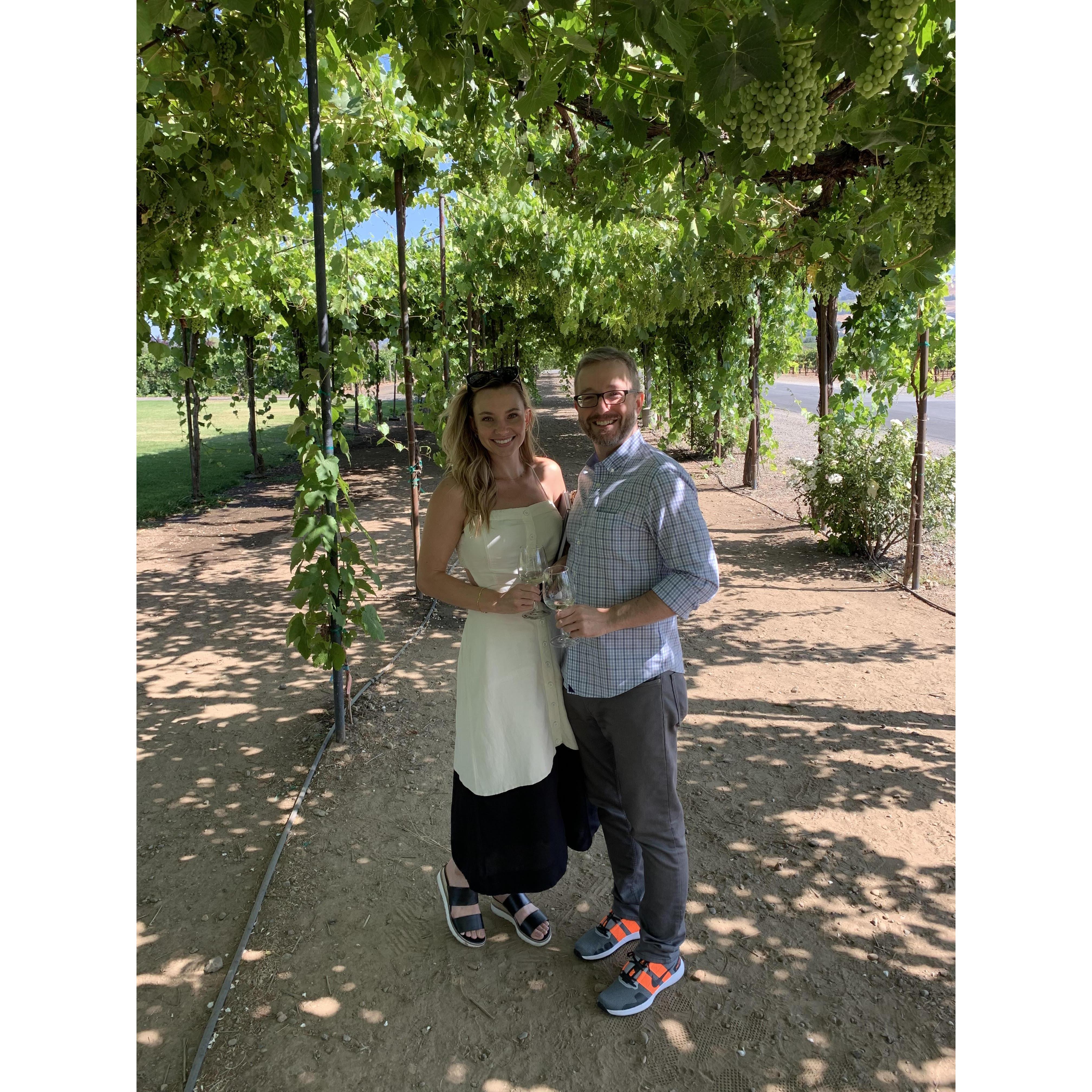 This is the grape vine canopy we will have dinner under at our wedding!