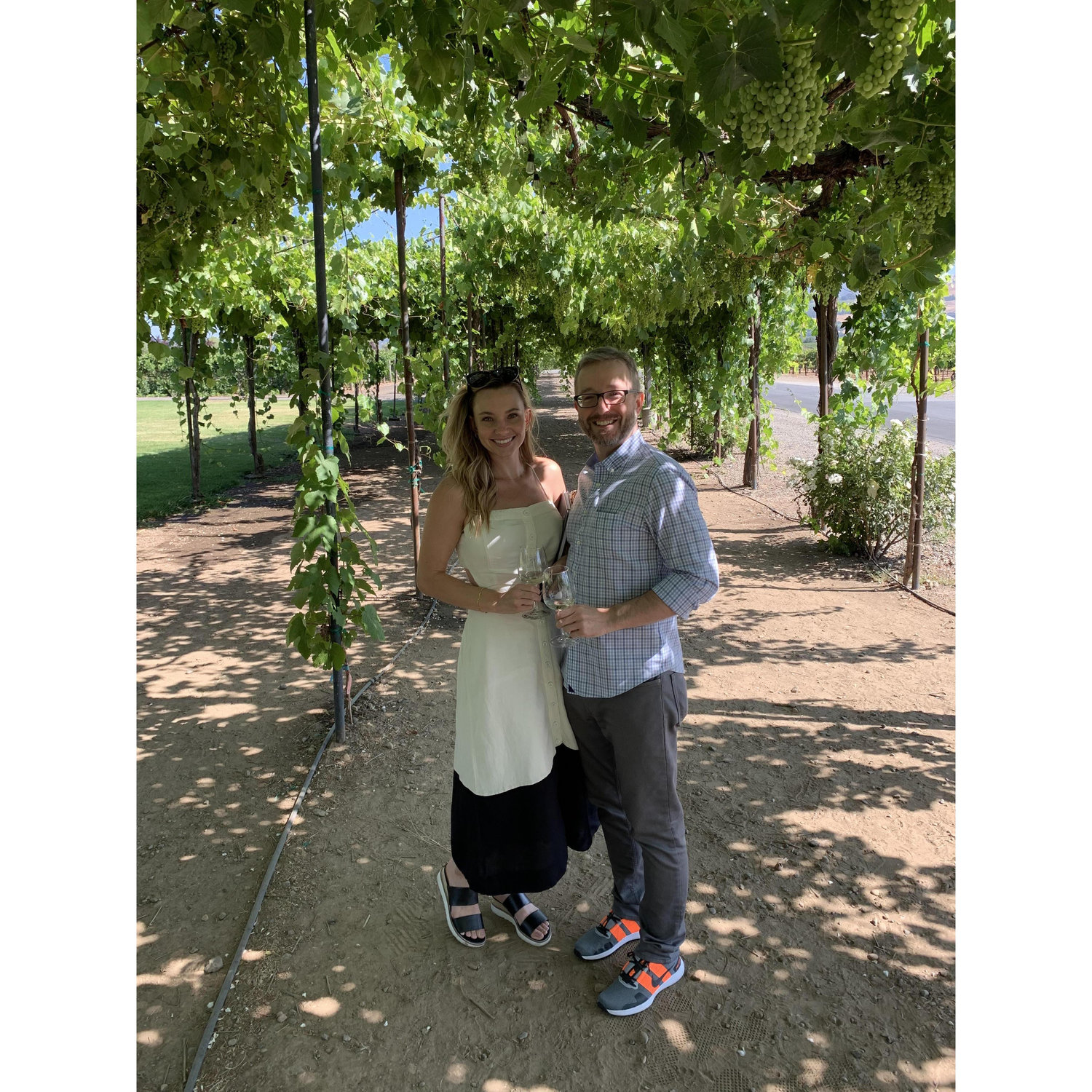 This is the grape vine canopy we will have dinner under at our wedding!