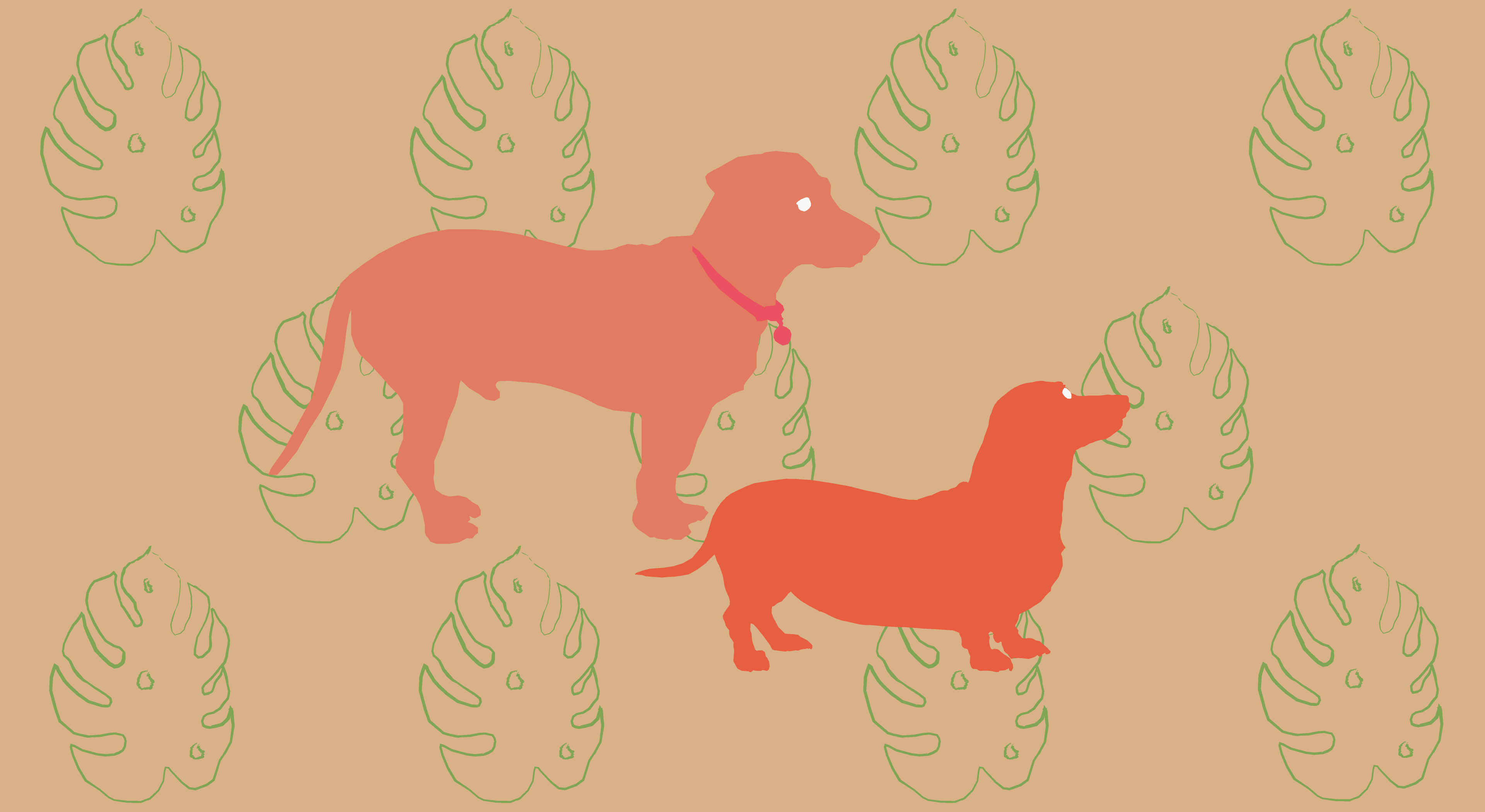 Footer image