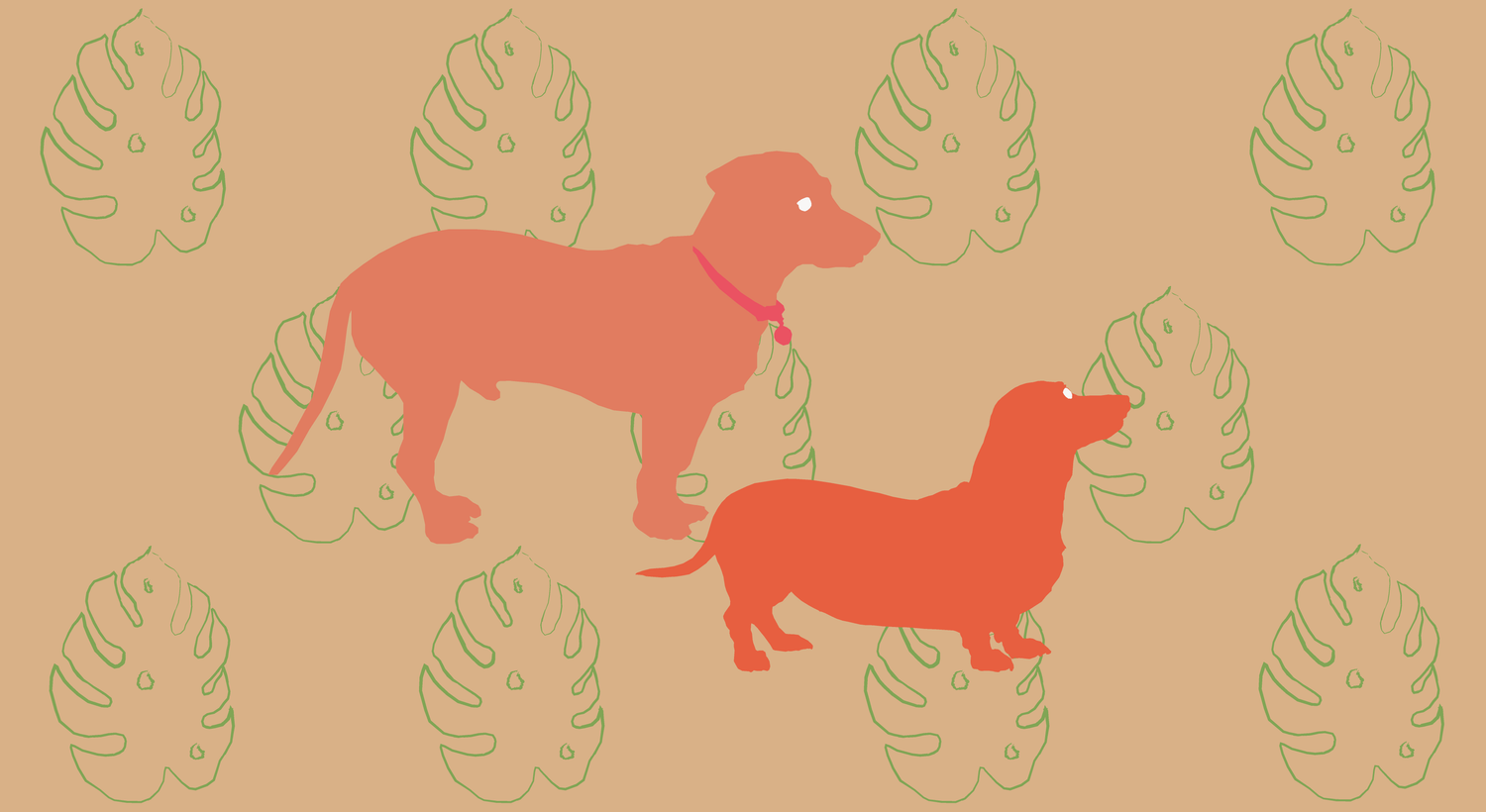 Footer image