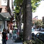 Hayes Valley