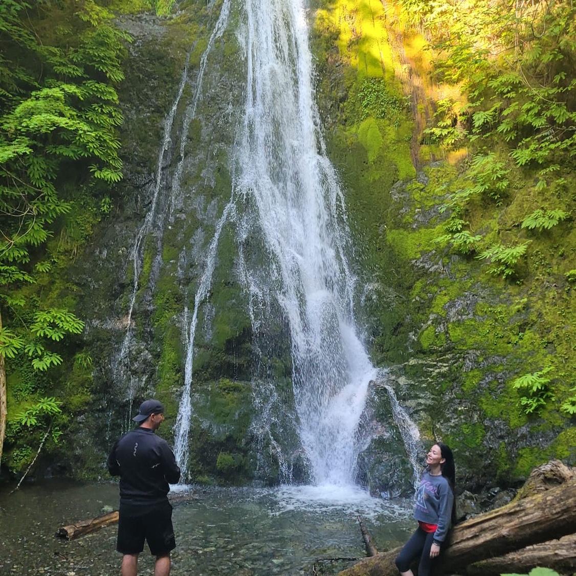 Olympic National Park Falls Trail