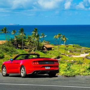 Car Rental