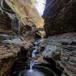 Watkins Glen State Park