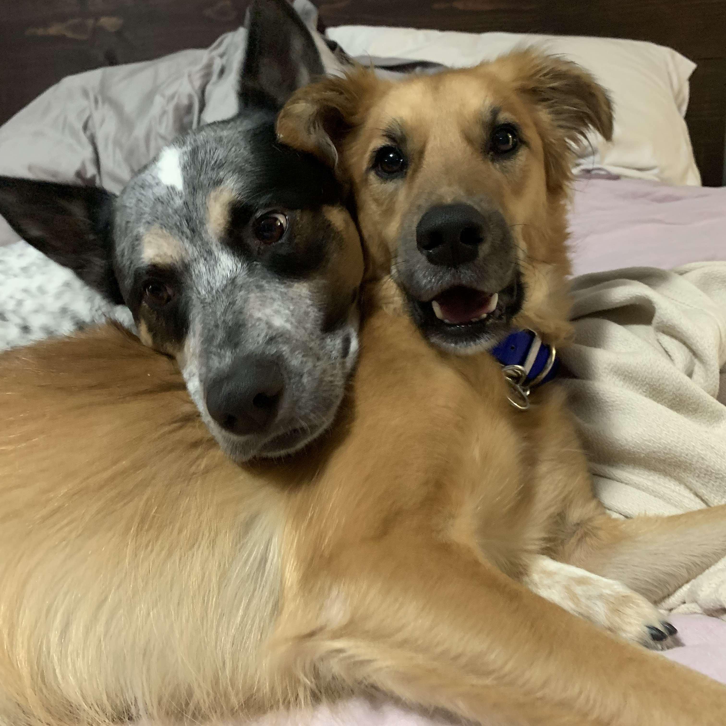 Arlo and Rylie were happy to be brothers <3