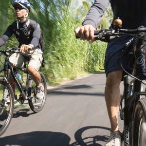 Kintamani Freewheel