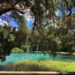 Weeki Wachee Spring