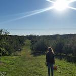 Wilson's Orchard & Farm