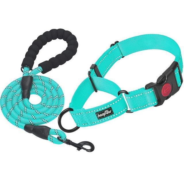 haapaw 2 Packs Martingale Dog Collar with Quick Release Buckle Reflective Dog Training Collars for Small Medium Large Dogs