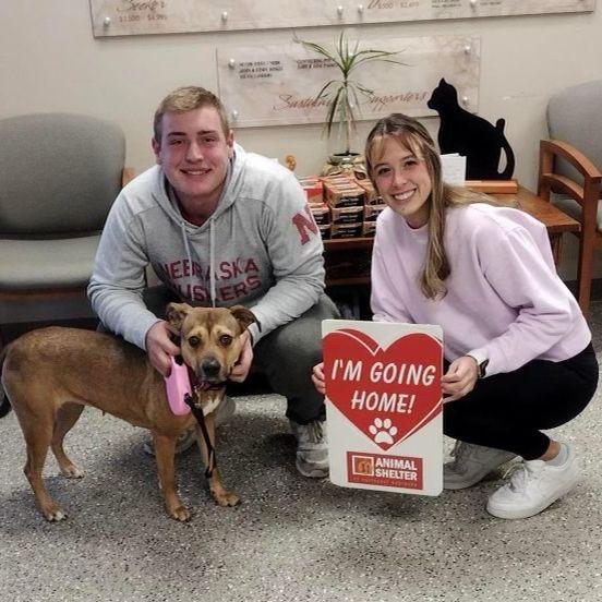 The Day We Took Nala Home <3 - Dec '21