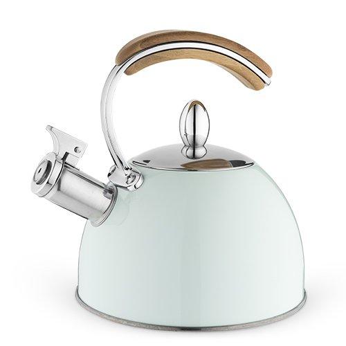 Pinky Up 5879 Mug Accessory and Home and Kitchen Loose Leaf Tea Kettle, One, Pistachio