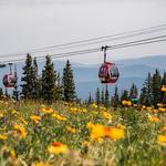 ASPEN MOUNTAIN GONDOLA