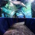 Greater Cleveland Aquarium