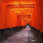 Fushimi Inari Shrine 伏见稻荷大社