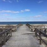 Crane Beach