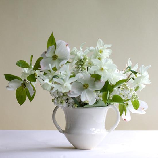 Shane Pot from Frances Palmer Pottery